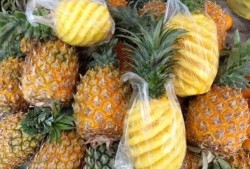 菠萝最新爆料视频